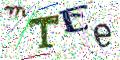 图形验证