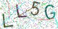 图形验证