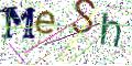 图形验证