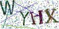 图形验证