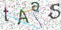 图形验证