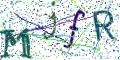 图形验证