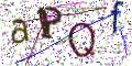 图形验证