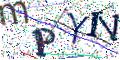 图形验证