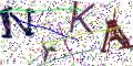 图形验证