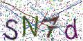 图形验证