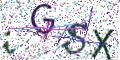 图形验证