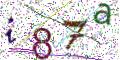 图形验证