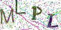 图形验证