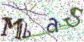 图形验证