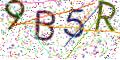 图形验证