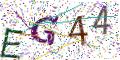 图形验证