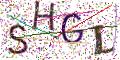 图形验证