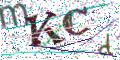 图形验证