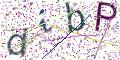 图形验证