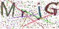 图形验证