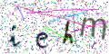图形验证