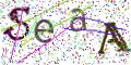 图形验证