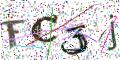 图形验证