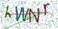 图形验证