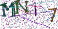 图形验证