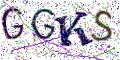 图形验证