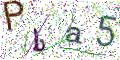 图形验证