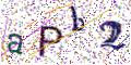 图形验证