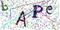 图形验证