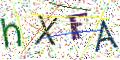 图形验证