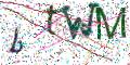 图形验证