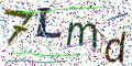 图形验证