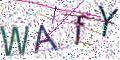 图形验证