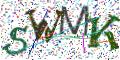 图形验证