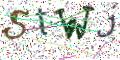 图形验证