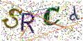 图形验证