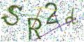 图形验证