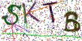 图形验证
