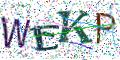 图形验证