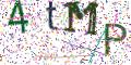 图形验证