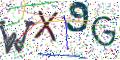 图形验证