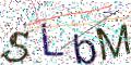 图形验证