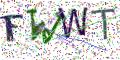 图形验证