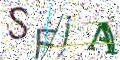 图形验证