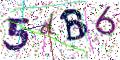 图形验证