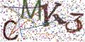 图形验证