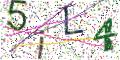 图形验证