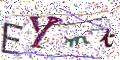 图形验证