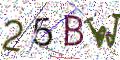 图形验证