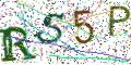 图形验证